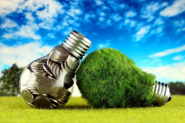 Ampul ve yeşil çevre çimen ile ampul içinde paralar. Yenilenebilir enerji kavramı. Elektrik fiyatları, enerji tasarrufu evde.