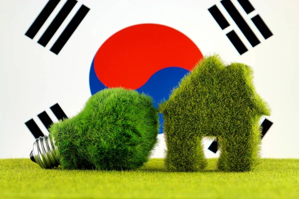 Ampoule Écologique Verte Icône Éco Maison Drapeau Sud Coréen Les — Photo