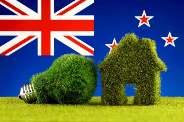 绿色生态灯泡 生态屋图标和新西兰国旗 再生能源 家庭节能 — 图库照片