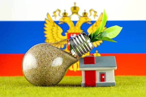 Plant growing inside the light bulb, miniature house on the grass and Russia Flag. Renewable energy. Electricity prices, energy saving in the household.