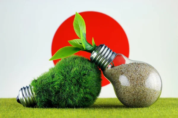 Zelená Eco Žárovka Tráva Rostlina Roste Uvnitř Žárovky Vlajka Japonska — Stock fotografie
