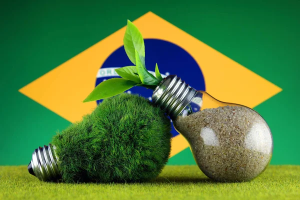 Groene Eco Lamp Met Gras Planten Groeien Gloeilamp Vlag Van — Stockfoto