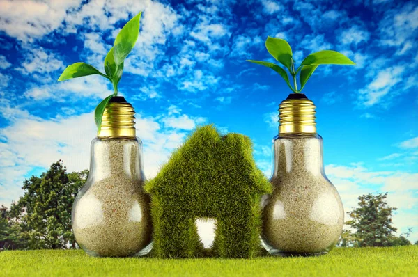 Plants growing inside the light bulbs and green eco house icon on the grass and blue sky background. Renewable energy concept. Electricity prices, energy saving in the household.