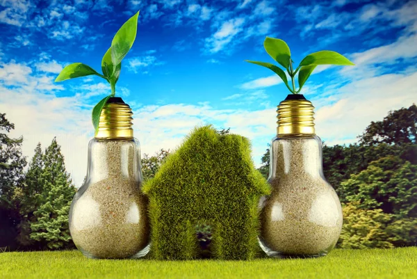 Plants growing inside the light bulbs and green eco house icon on the grass and blue sky background. Renewable energy concept. Electricity prices, energy saving in the household.
