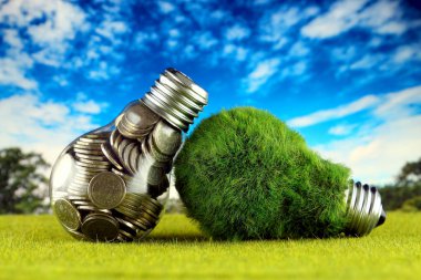 Ampul ve yeşil çevre çimen ile ampul içinde paralar. Yenilenebilir enerji kavramı. Elektrik fiyatları, enerji tasarrufu evde.