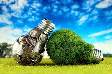 Ampul ve yeşil çevre çimen ile ampul içinde paralar. Yenilenebilir enerji kavramı. Elektrik fiyatları, enerji tasarrufu evde.