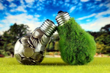 Ampul ve yeşil çevre çimen ile ampul içinde paralar. Yenilenebilir enerji kavramı. Elektrik fiyatları, enerji tasarrufu evde.