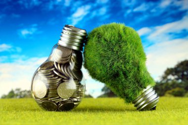 Ampul ve yeşil çevre çimen ile ampul içinde paralar. Yenilenebilir enerji kavramı. Elektrik fiyatları, enerji tasarrufu evde.