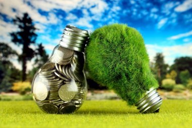 Ampul ve yeşil çevre çimen ile ampul içinde paralar. Yenilenebilir enerji kavramı. Elektrik fiyatları, enerji tasarrufu evde.