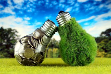 Ampul ve yeşil çevre çimen ile ampul içinde paralar. Yenilenebilir enerji kavramı. Elektrik fiyatları, enerji tasarrufu evde.