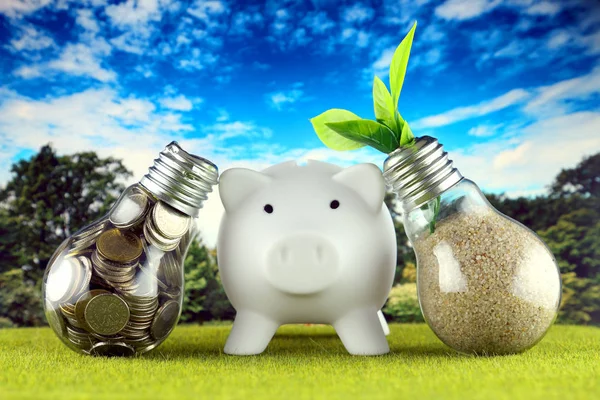 Coins inside the light bulb, plant growing inside the light bulb and piggy bank. Green eco renewable energy concept. Electricity prices, energy saving in the household.
