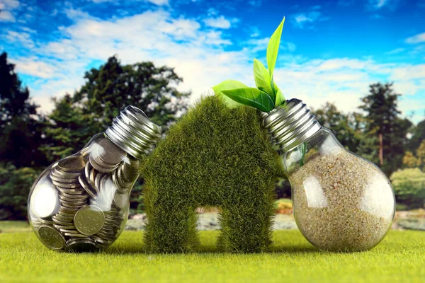 Coins inside the light bulb, plant growing inside the light bulb and miniature house with grass. Green eco renewable energy concept. Electricity prices, energy saving in the household.