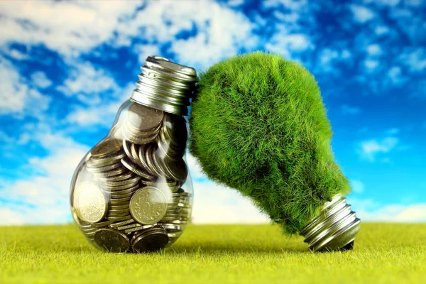 Monety Wewnątrz Żarówki Zielony Eco Żarówki Trawy Pojęcie Energii Odnawialnej — Zdjęcie stockowe