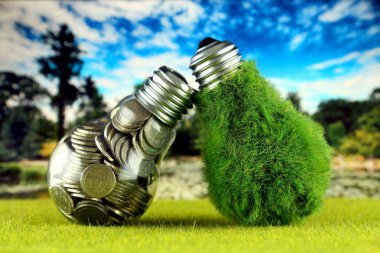 Ampul ve yeşil çevre çimen ile ampul içinde paralar. Yenilenebilir enerji kavramı. Elektrik fiyatları, enerji tasarrufu evde.