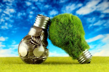 Ampul ve yeşil çevre çimen ile ampul içinde paralar. Yenilenebilir enerji kavramı. Elektrik fiyatları, enerji tasarrufu evde.