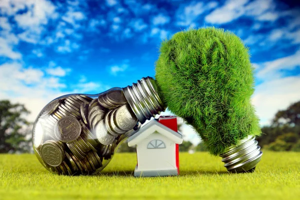 Coins inside the light bulb, green eco light bulb with grass and miniature house. Renewable energy concept. Electricity prices, energy saving in the household.