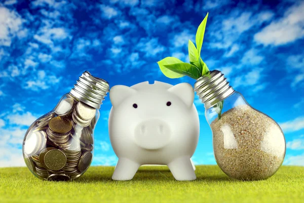 Coins Light Bulb Plant Growing Light Bulb Piggy Bank Green — Stock Photo, Image