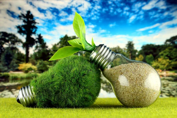 Green eco light bulb with grass, plant growing inside the light bulb and blue sky background. Renewable energy concept.