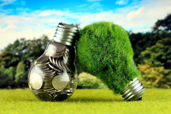 Coins inside the light bulb and green eco light bulb with grass. Renewable energy concept. Electricity prices, energy saving in the household.