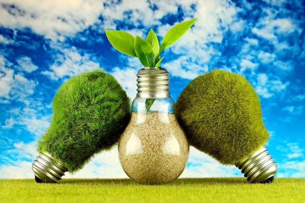 Green eco light bulbs with grass, plant growing inside the light bulb and blue sky background. Renewable energy concept.