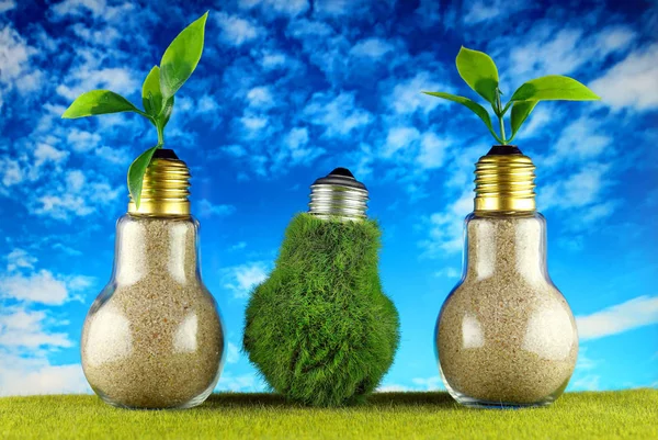 Green eco light bulb on the grass, plants growing inside the light bulbs and blue sky background. Renewable energy concept.