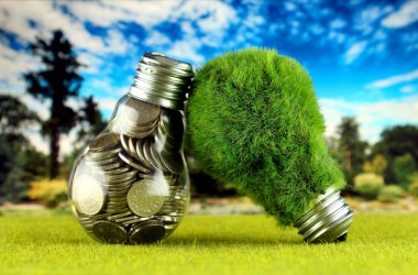 Ampul ve yeşil çevre çimen ile ampul içinde paralar. Yenilenebilir enerji kavramı. Elektrik fiyatları, enerji tasarrufu evde.