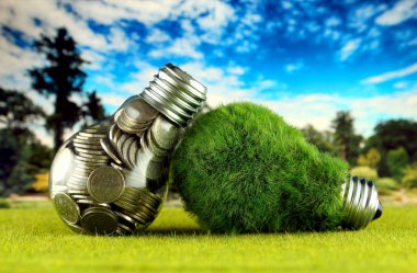 Ampul ve yeşil çevre çimen ile ampul içinde paralar. Yenilenebilir enerji kavramı. Elektrik fiyatları, enerji tasarrufu evde.