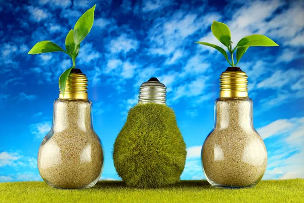 Green eco light bulb on the grass, plants growing inside the light bulbs and blue sky background. Renewable energy concept.
