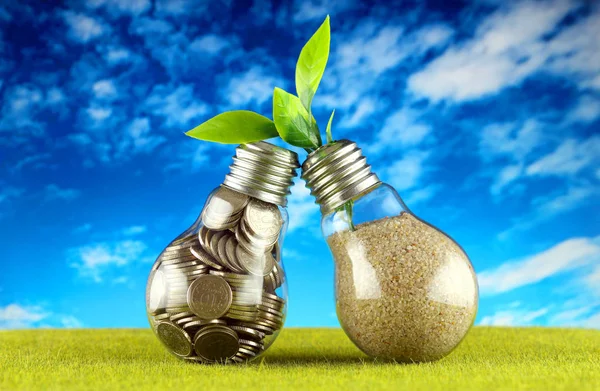 Coins inside the light bulb on the grass and plant growing inside the light bulb with blue sky background. Green eco renewable energy concept. Electricity prices, energy saving in the household.