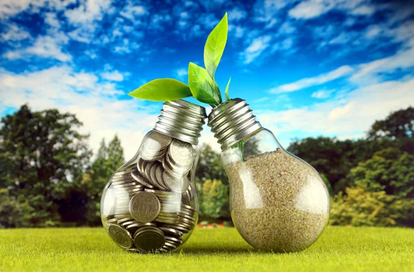 Coins inside the light bulb on the grass and plant growing inside the light bulb with blue sky background. Green eco renewable energy concept. Electricity prices, energy saving in the household.