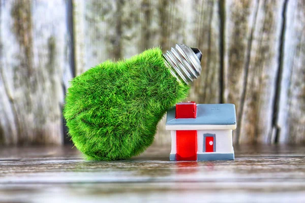 Green eco light bulb with grass and miniature house. Renewable energy concept. Electricity prices, energy saving in the household.