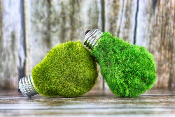 Green eco light bulbs with grass on wooden background. Renewable energy, ecological concept.