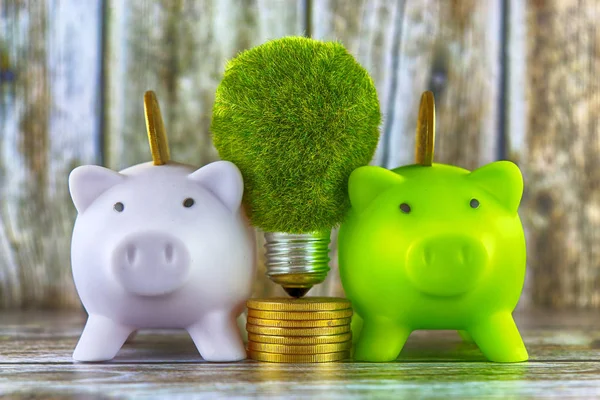 Piggy banks, green eco light bulb with grass and golden coins on wooden background. Renewable energy concept. Electricity prices, energy saving in the household.