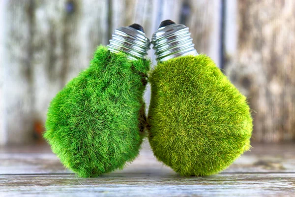 Green eco light bulbs with grass on wooden background. Renewable energy, ecological concept.