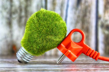 Tak ve yeşil çevre ışık ampul çimenlerin üzerinde ahşap arka plan ile. Yenilenebilir enerji, ekolojik kavram. Elektrik fiyatları, enerji tasarrufu evde.