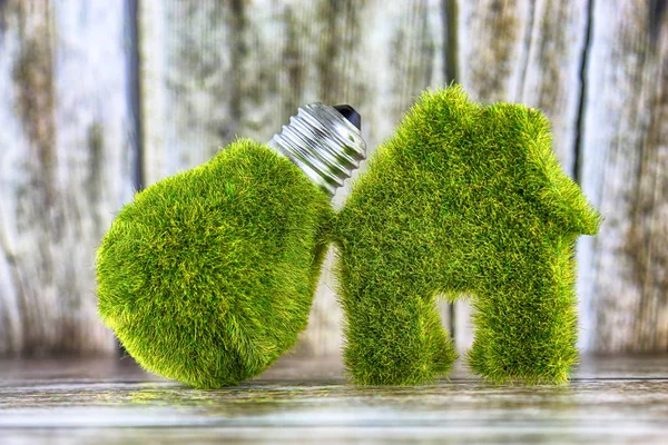 Green eco light bulb and eco house icon concept with grass and wooden background. Renewable energy. Electricity prices, energy saving in the household.