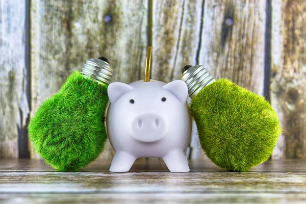 Piggy bank and green eco light bulbs with grass on wooden background. Renewable energy, ecological concept. Electricity prices, energy saving in the household.