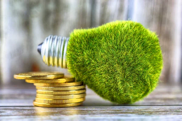 Green eco light bulb with grass and golden coins on wooden background. Renewable energy concept. Electricity prices, energy saving in the household.