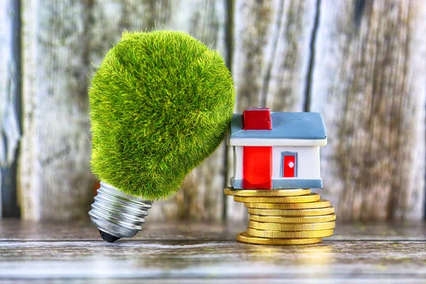 Green eco light bulb with grass, miniature house and golden coins. Renewable energy concept. Electricity prices, energy saving in the household.