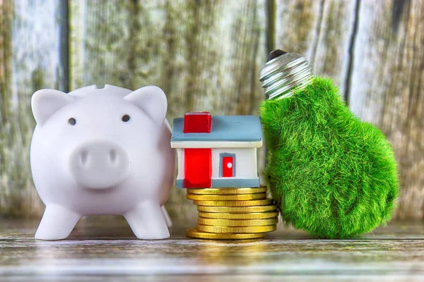 Piggy bank, green eco light bulb with grass, miniature house and golden coins. Renewable energy concept. Electricity prices, energy saving in the household.