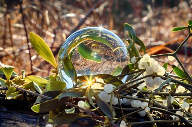 Vahşi, dokunulmamış doğa. Refraksiyon fotoğrafçılığı için bir cam, kristal top (lensball) üzerinden görünüm.