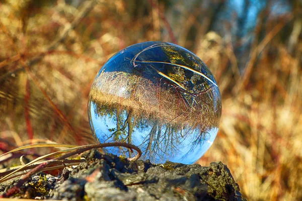 Photo libre de droit de Boule De Cristal Reflétant Le Globe De La