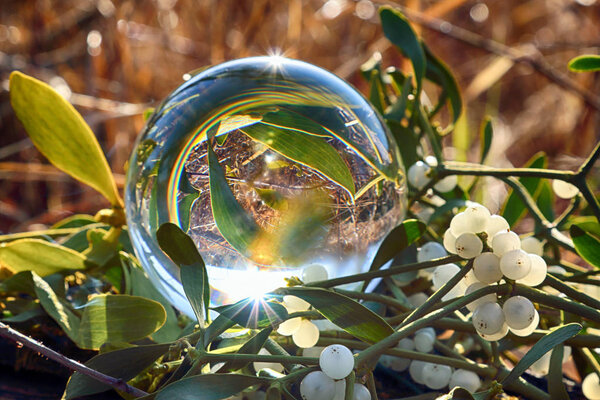 Wild, untouched nature. View through a glass, crystal ball (lensball) for refraction photography.