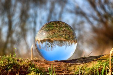 Vahşi, dokunulmamış doğa. Refraksiyon fotoğrafçılığı için bir cam, kristal top (lensball) üzerinden görünüm.