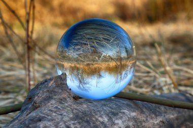 Vahşi, dokunulmamış doğa. Refraksiyon fotoğrafçılığı için bir cam, kristal top (lensball) üzerinden görünüm.