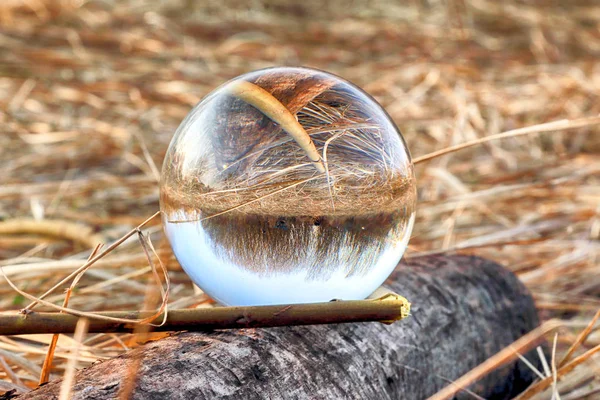 Wild, untouched nature. View through a glass, crystal ball (lensball) for refraction photography.
