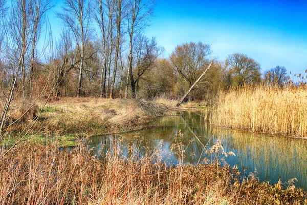 Wilde Unberührte Natur Sonnig Frühlingstag Breslau Polen — Stockfoto