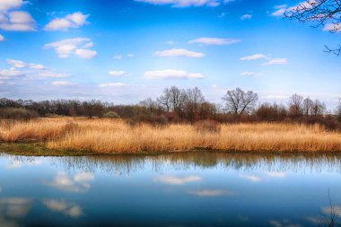 Vahşi, dokunulmamış doğa. Güneşli, bahar günü Wroclaw, Polonya.