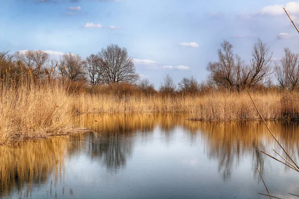 Vild Uberørt Natur Solrig Forårsdag Wroclaw Polen - Stock-foto