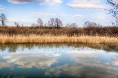 Vahşi, dokunulmamış doğa. Güneşli, bahar günü Wroclaw, Polonya.